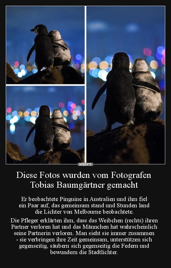 Diese Fotos wurden vom Fotografen Tobias Baumgärtner.. - Lustige Bilder | DEBESTE.de