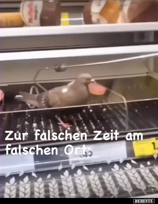 Zur falschen Zeit am falschen Ort.. - Lustige Bilder | DEBESTE.de