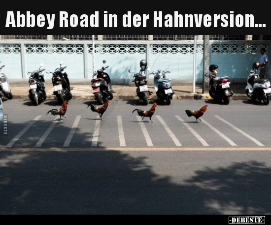 Abbey Road in der Hahnversion...
