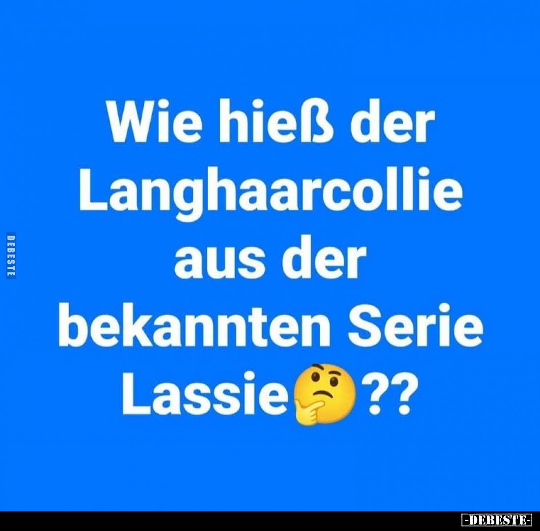 Wie hieß der Langhaarcollie aus der bekannten Serie Lassie??