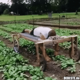 Es sich bequem machen...