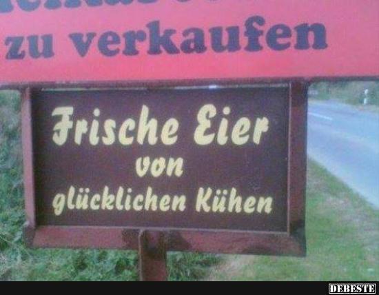 Die Kühe will ich sehen!