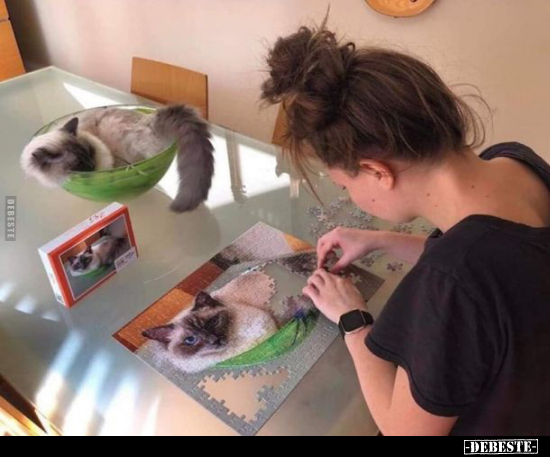  - Lustige Bilder | DEBESTE.de