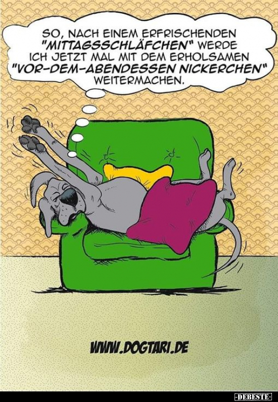 So, nach einem erfrischenden "Mittagsschläfchen".. - Lustige Bilder | DEBESTE.de