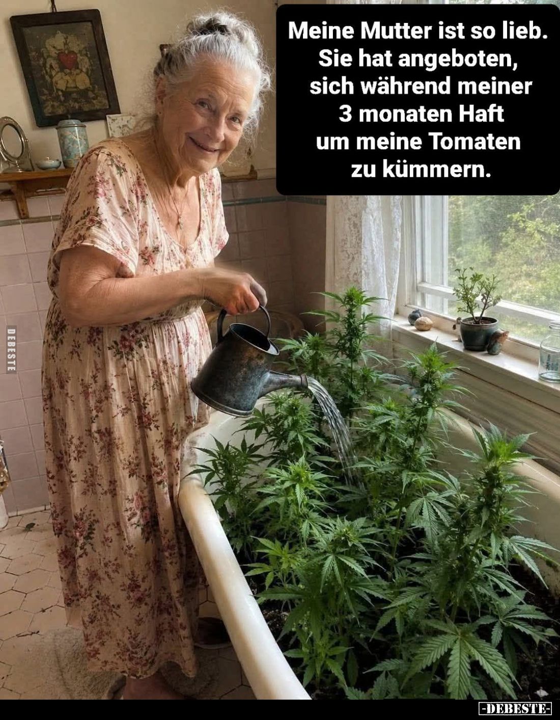 Meine Mutter ist so lieb.
Sie hat angeboten, sich während meiner 3 Monaten Haft um meine Tomaten zu kümmern.