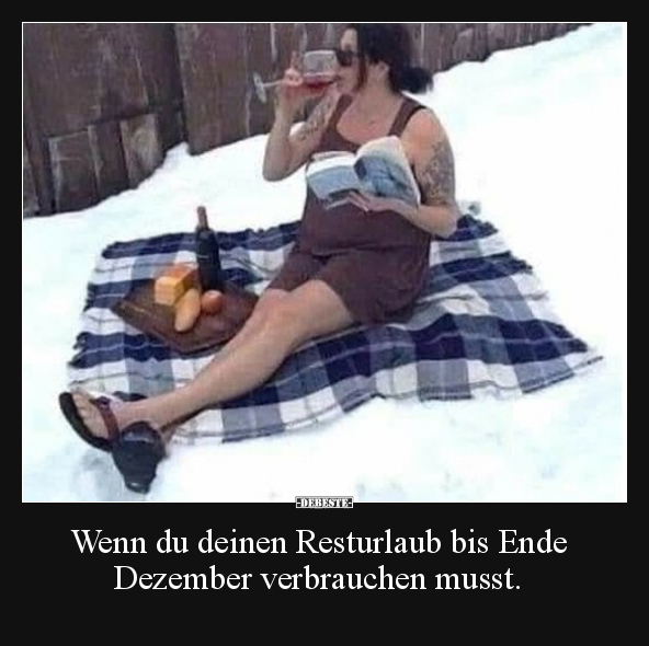 Wenn du deinen Resturlaub bis Ende Dezember verbrauchen.. - Lustige Bilder | DEBESTE.de