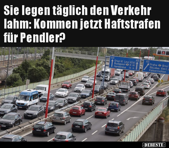 Sie legen täglich den Verkehr lahm: Kommen jetzt.. - Lustige Bilder | DEBESTE.de