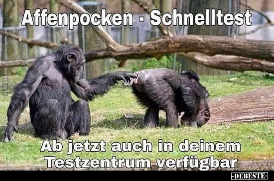 Affenpocken