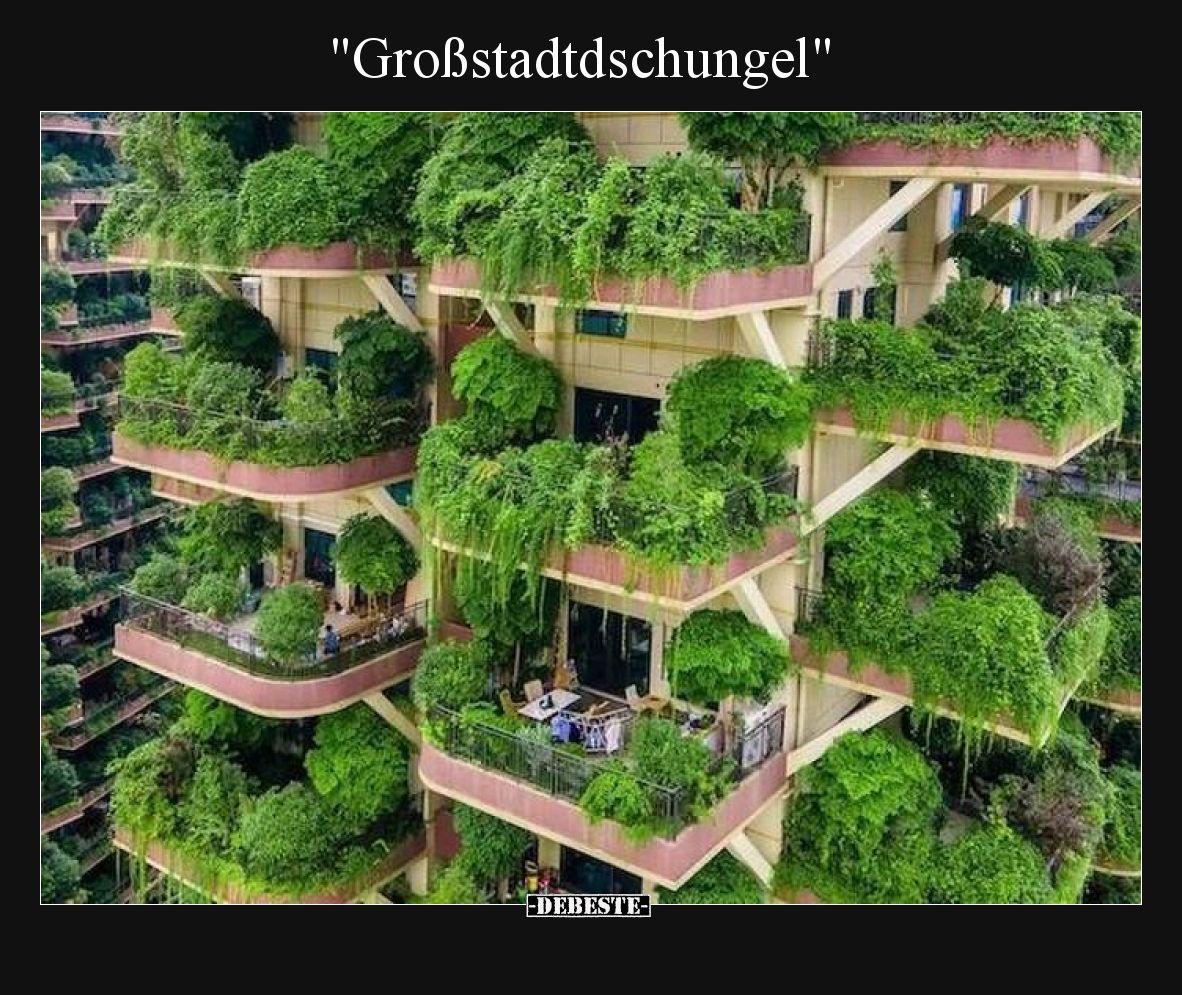 "Großstadtdschungel".. - Lustige Bilder | DEBESTE.de