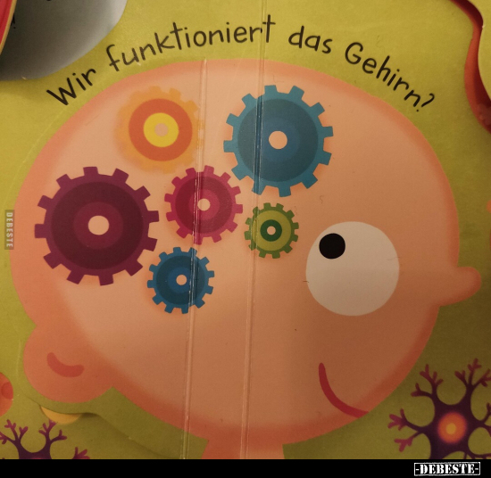 Wie funktioniert das Gehirn?.. - Lustige Bilder | DEBESTE.de