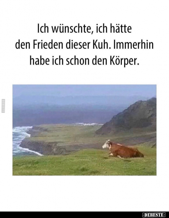 Ich wünschte, ich hatte den Frieden dieser Kuh.. - Lustige Bilder | DEBESTE.de