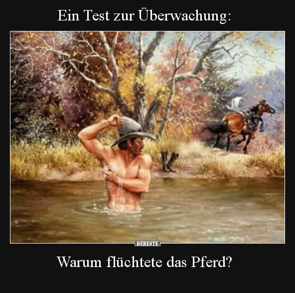 Ein Test zur Überwachung: Warum flüchtete das Pferd?.. - Lustige Bilder | DEBESTE.de