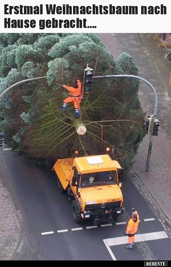 Erstmal Weihnachtsbaum nach Hause gebracht....