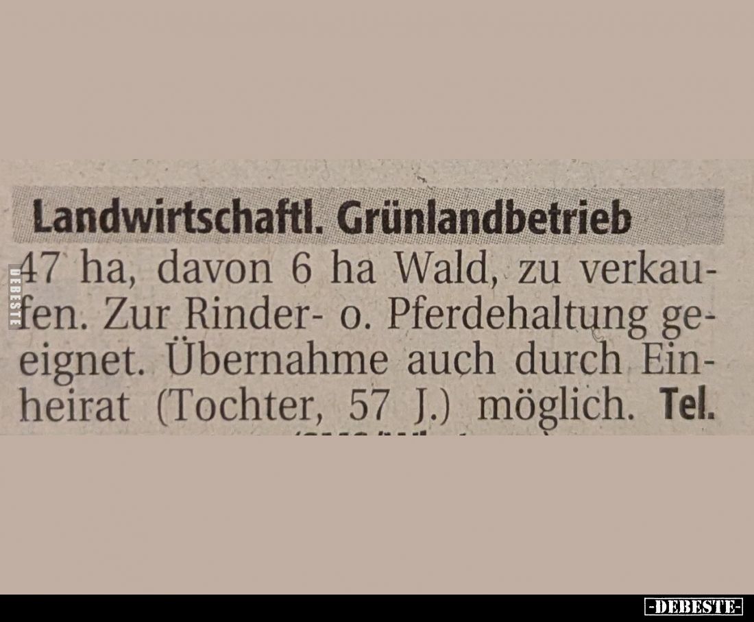  - Lustige Bilder | DEBESTE.de