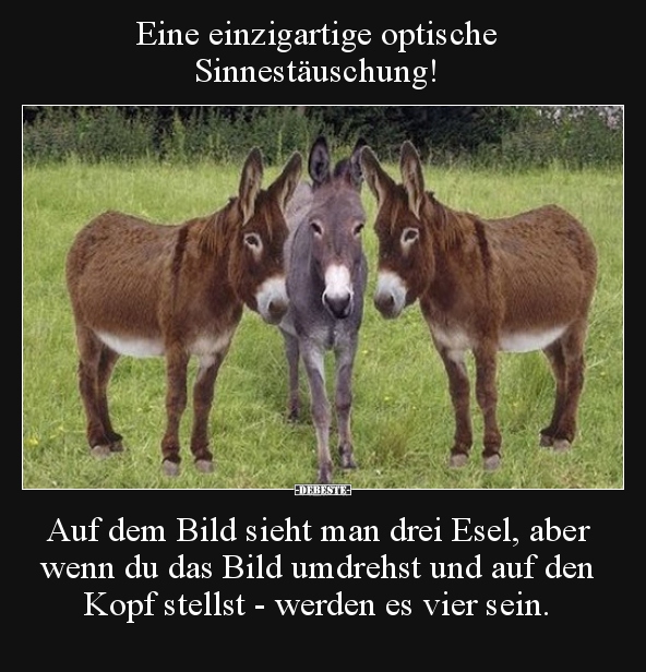 Eine einzigartige optische Sinnestäuschung!...