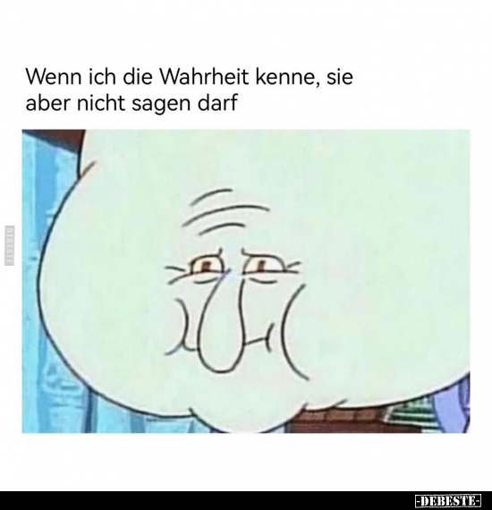 Wenn ich die Wahrheit kenne, sie aber nicht sagen darf.. - Lustige Bilder | DEBESTE.de