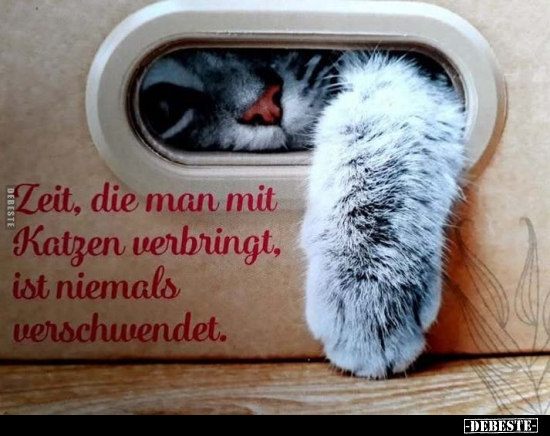 Zeit, die man mit Katzen verbringt, ist niemals verschwendet.. - Lustige Bilder | DEBESTE.de