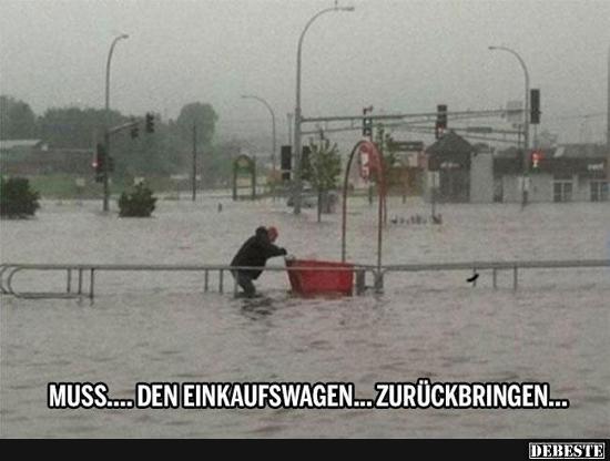  Muss... den Einkaufswagen... zurückbringen...