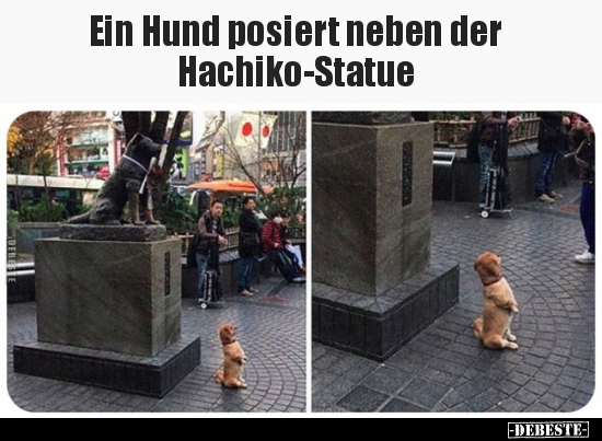 Ein Hund posiert neben der Hachiko-Statue.. - Lustige Bilder | DEBESTE.de