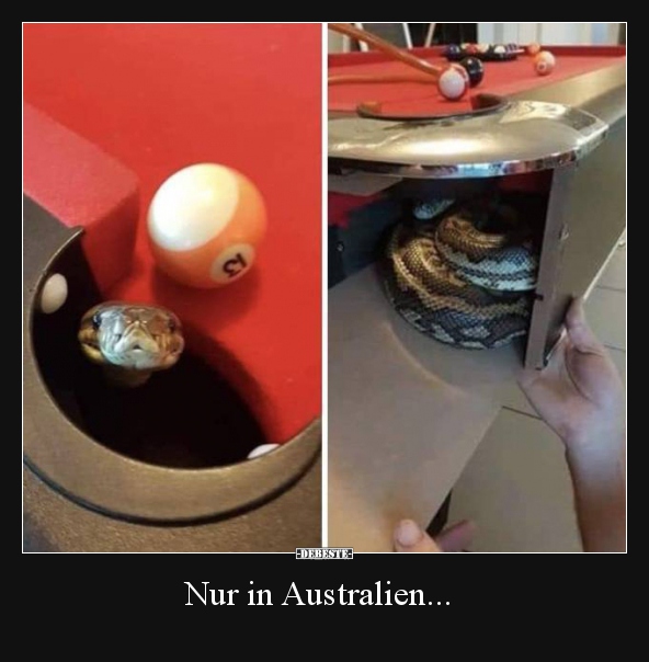 Nur in Australien...