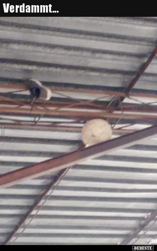 Verdammt...