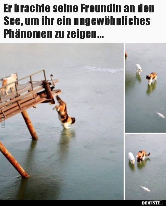 Er brachte seine Freundin an den See, um ihr ein.. - Lustige Bilder | DEBESTE.de