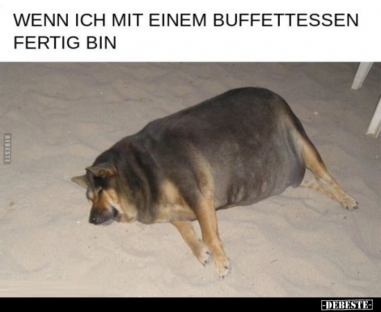 Wenn ich mit einem Buffettessen fertig.. - Lustige Bilder | DEBESTE.de