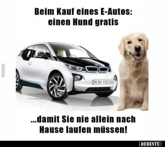 Beim Kauf eines E-Autos: einen Hund gratis.. - Lustige Bilder | DEBESTE.de