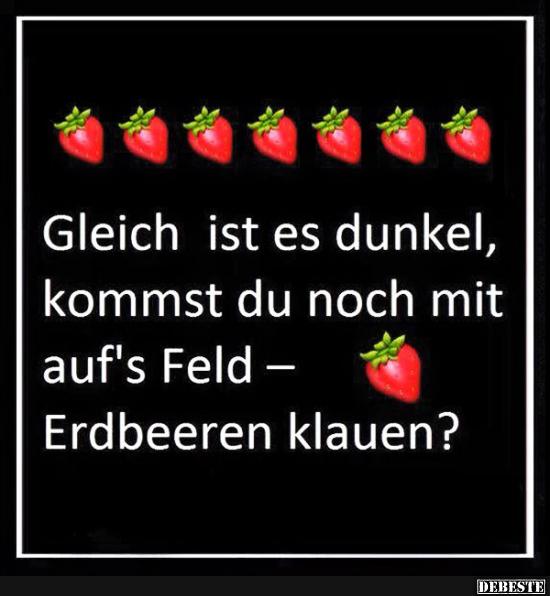 Gleich ist es dunkel, kommst du noch mit auf's Feld..?
