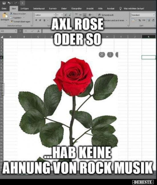 AXL Rose oder so ...hab keine Ahnung von Rock Musik... - Lustige Bilder | DEBESTE.de