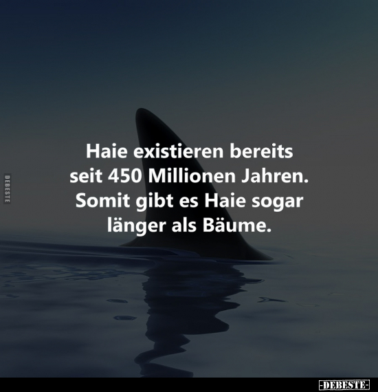 Haie existieren bereits seit 450 Millionen Jahren.. - Lustige Bilder | DEBESTE.de