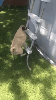 Da steig ich doch mal hoch..