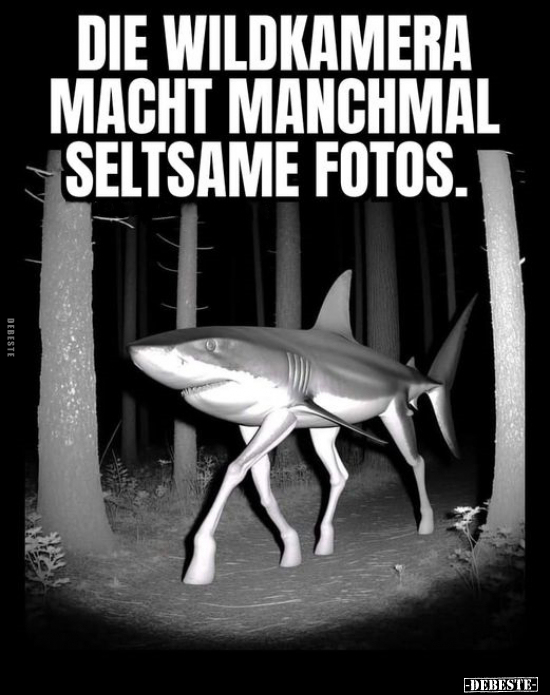 Die Wildkamera macht manchmal seltsame Fotos.. - Lustige Bilder | DEBESTE.de