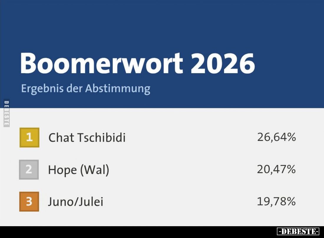 Boomerwort 2026 -
Ergebnis der Abstimmung - Chat Tschibidi