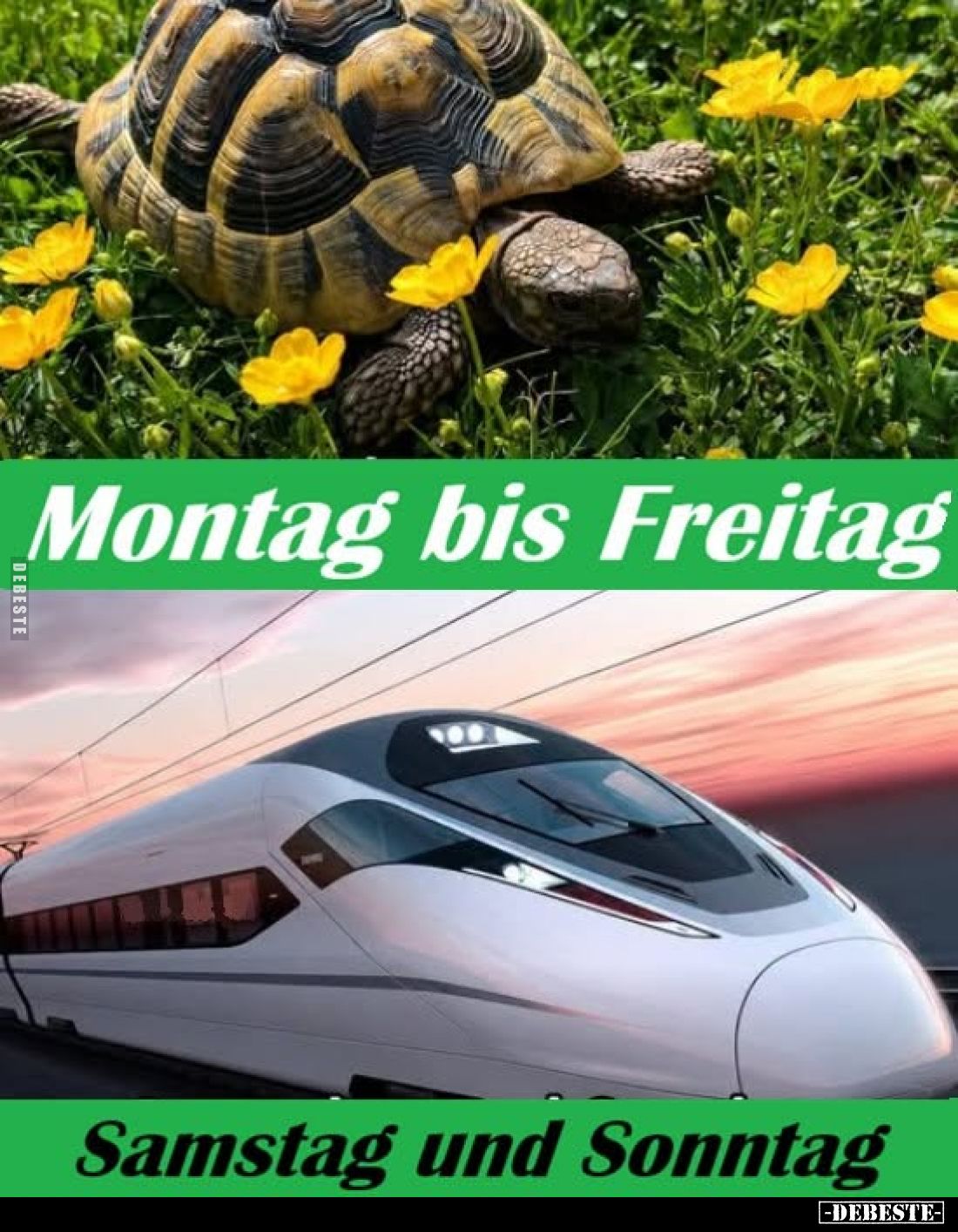 Montag bis Freitag vs
Samstag und Sonntag.
