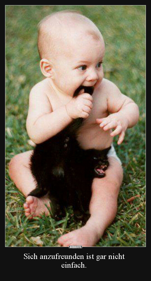 Sich anzufreunden ist gar nicht einfach...