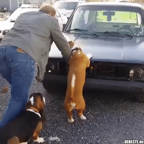 Hilfe wird immer benötigt! - Lustige Bilder | DEBESTE.de