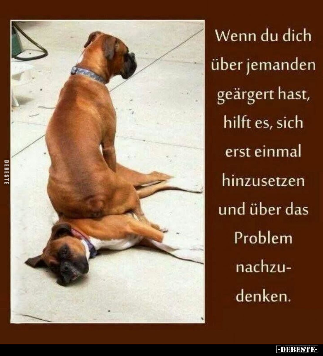 Wenn du dich über jemanden geärgert hast, hilft es, sich.. - Lustige Bilder | DEBESTE.de
