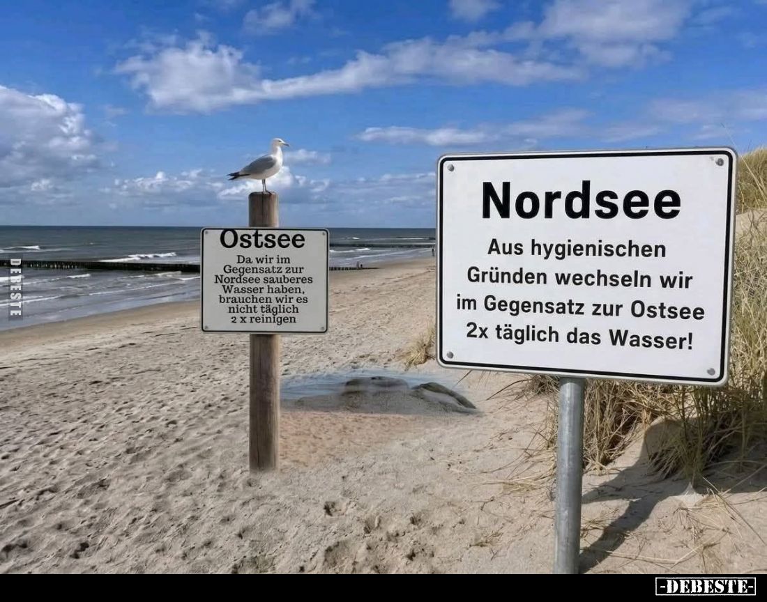 Ostsee:
Da wir im Gegensatz zur Nordsee sauberes Wasser haben. brauchen wir es nicht täglich 2 x reinigen. -
Nordsee:
Aus ...