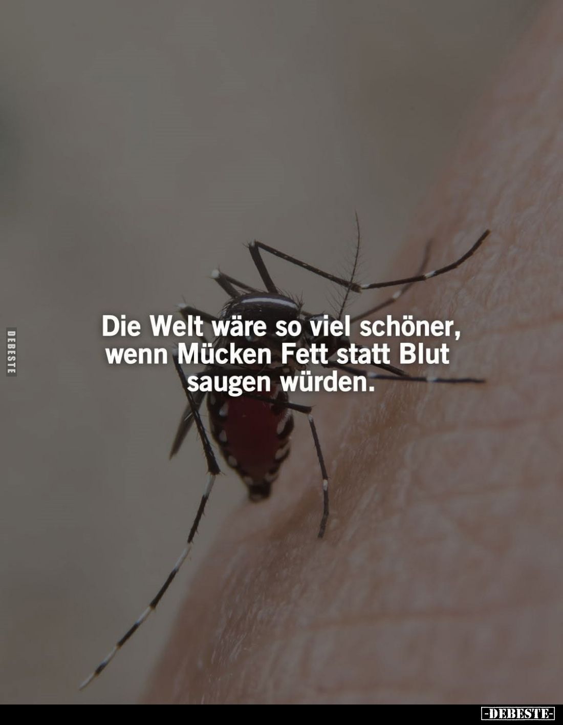 Die Welt wäre so viel schöner, wenn Mücken Fett statt Blut saugen würden.