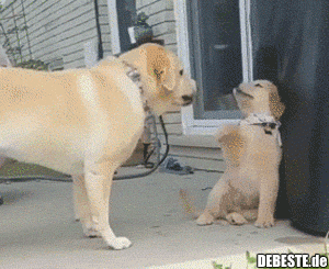 Tu, was deine Mutter dir sagt!