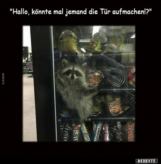 "Hallo, könnte mal jemand die Tür aufmachen!?"