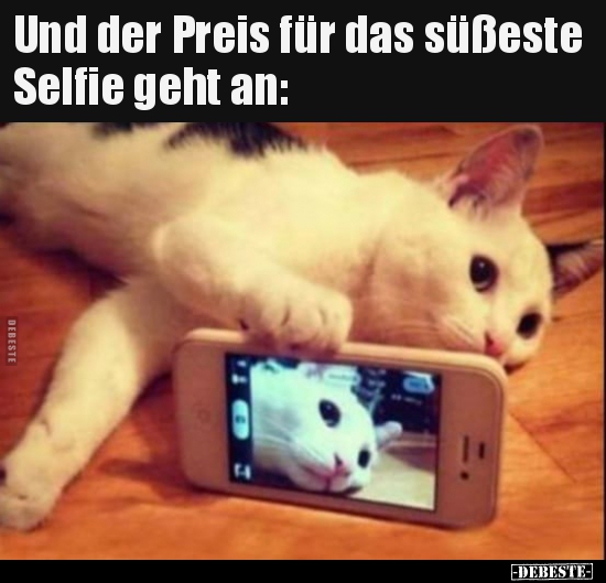 Und der Preis für das süßeste Selfie geht an.. - Lustige Bilder | DEBESTE.de