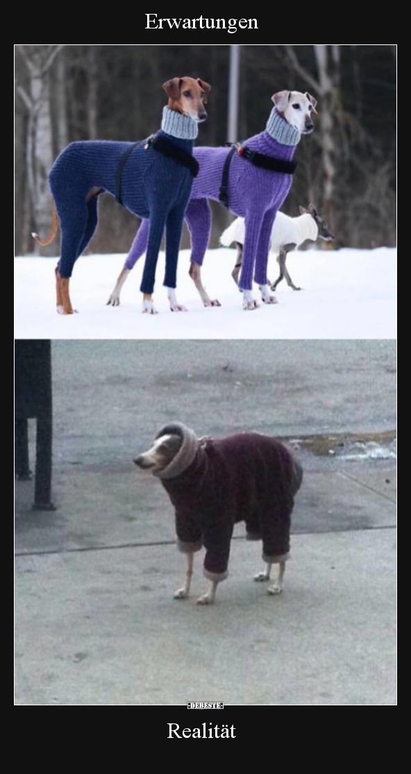 Erwartungen / Realität..