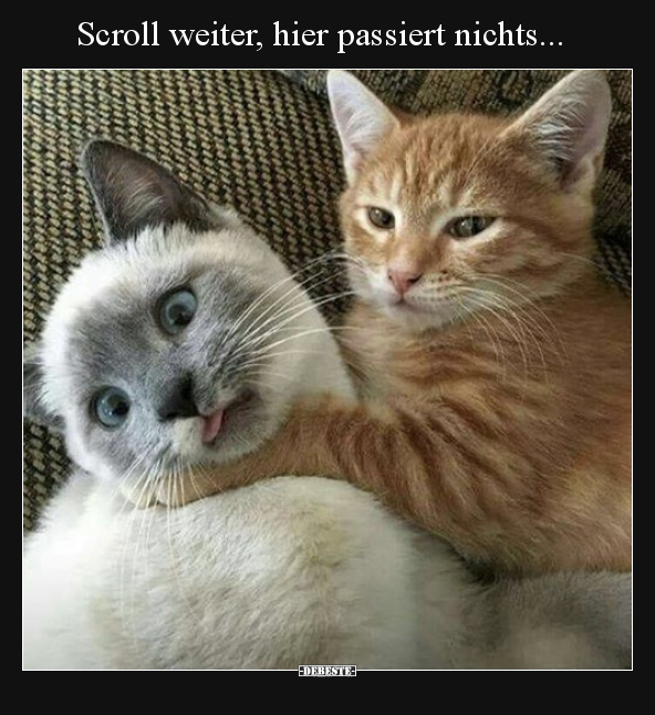 Scroll weiter, hier passiert nichts... - Lustige Bilder | DEBESTE.de