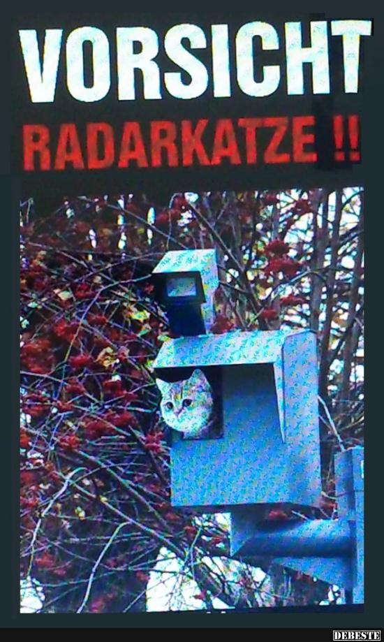 Vorsicht! Radarkatze!!