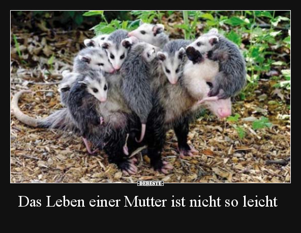 Das Leben einer Mutter ist nicht so leicht.. - Lustige Bilder | DEBESTE.de