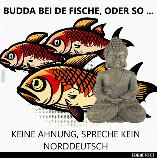 Budda bei de Fische, oder so.. - Lustige Bilder | DEBESTE.de