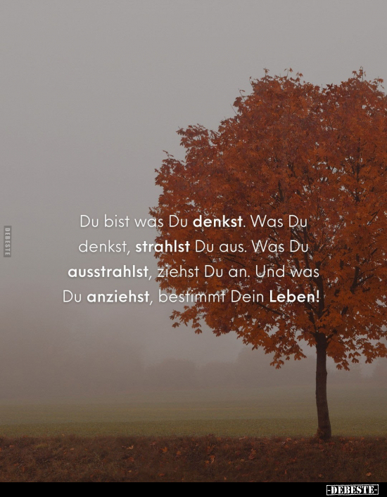 Du bist was Du denkst. Was Du denkst, strahlst Du aus.. - Lustige Bilder | DEBESTE.de