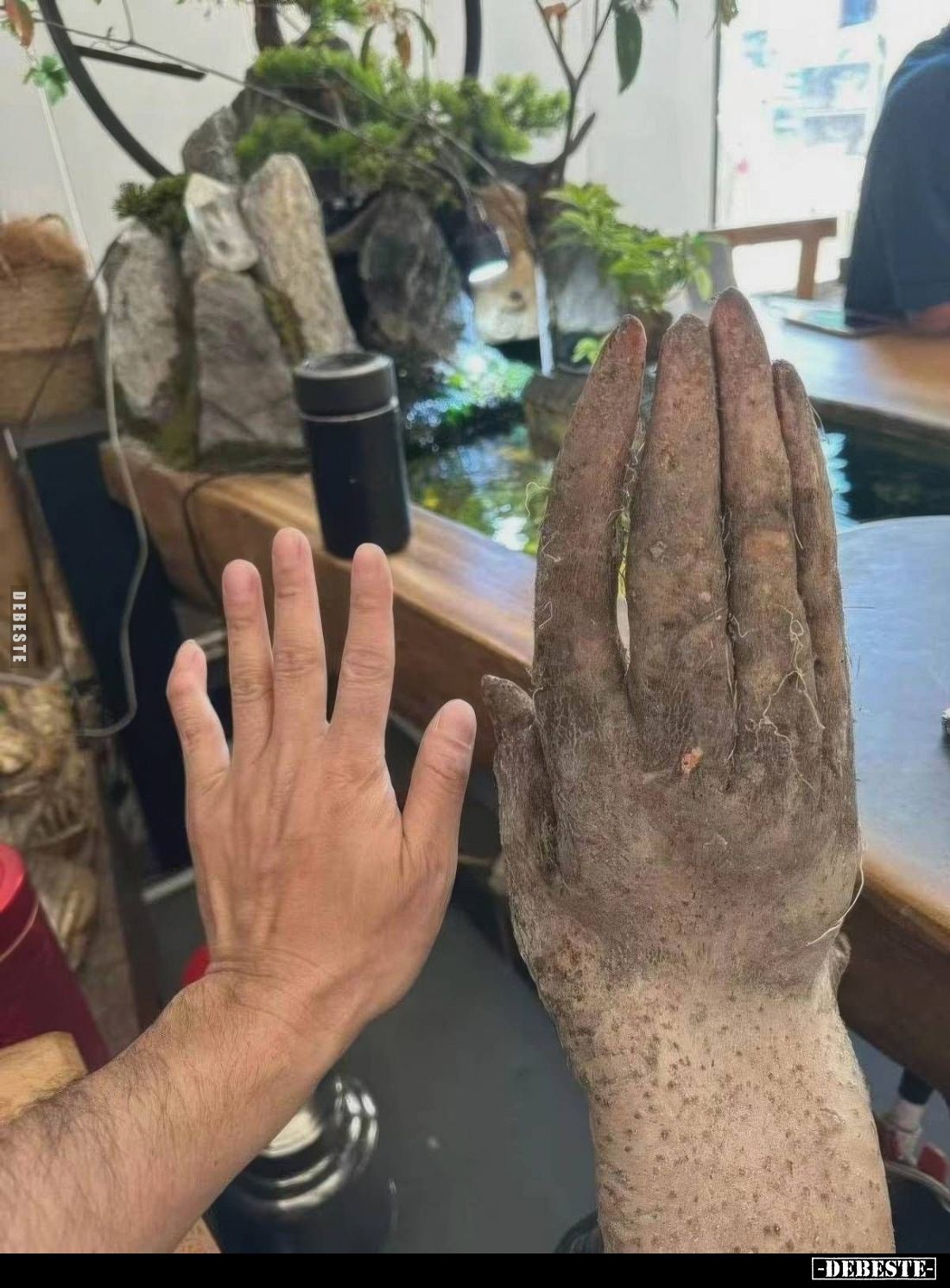  - Lustige Bilder | DEBESTE.de